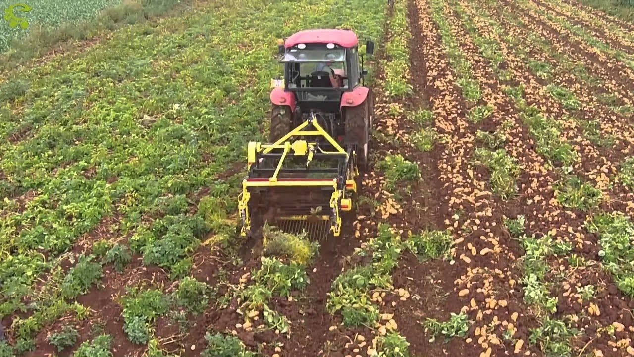 Yarı otomatik makineli hasat