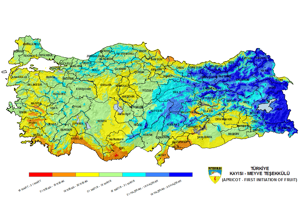 Türkiye'de bölgelere göre kayısı oluşma zamanları