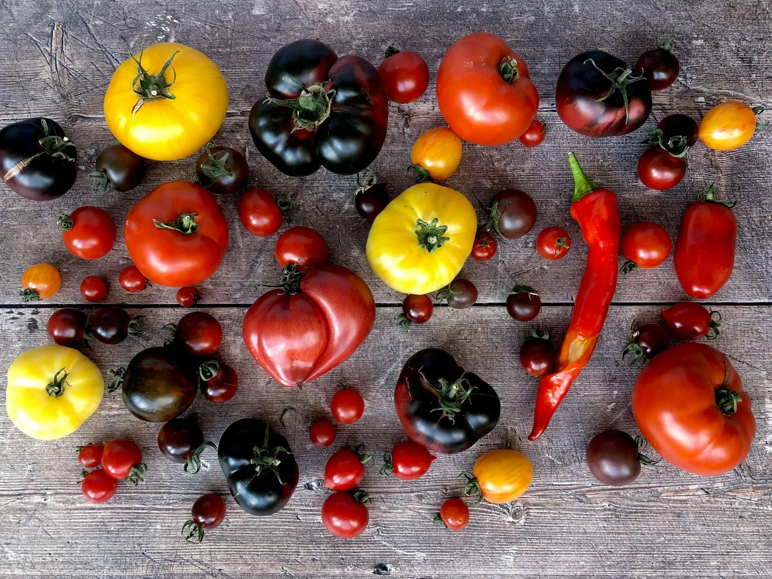 Heritage Tomato Varieties Scaled Min