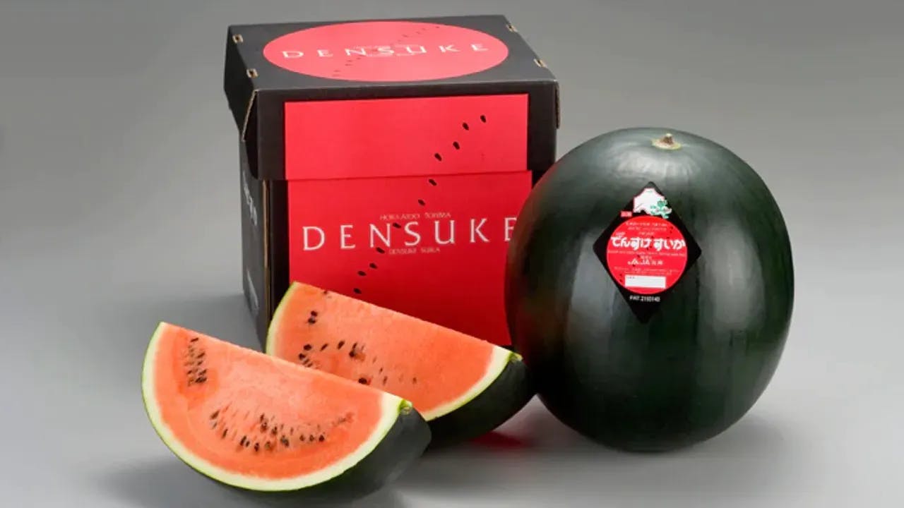 Black Watermelon World Most Expensive and Rare Watermelon All You Need to Know about Densuke Watermelons 5 (1) Min