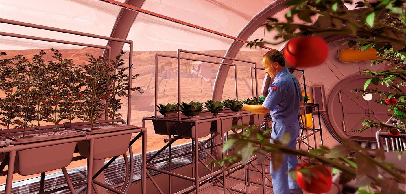 NASA Growing Food Mars Min