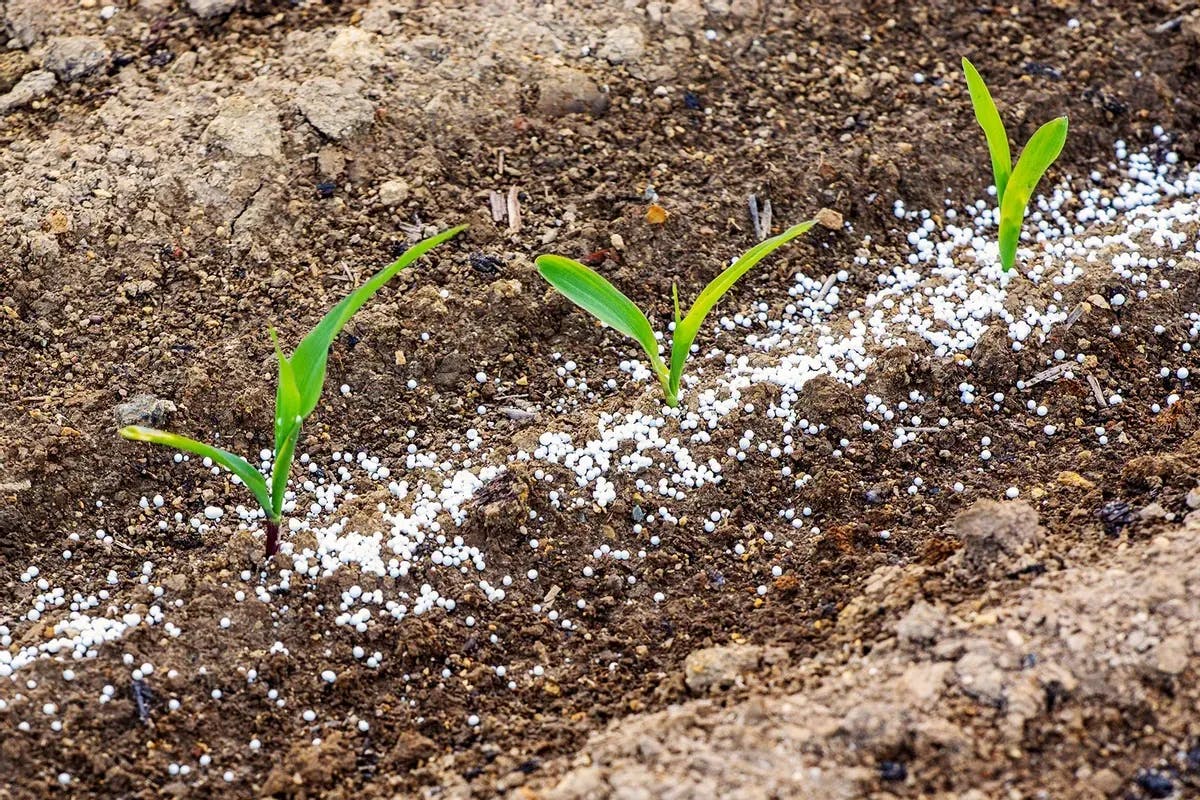 Soil Plant Fertilizer 08292221 Min