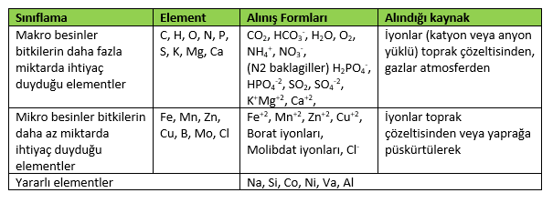 Yüksek ve ilkel bitkiler için mineral elementlerin alınış formları ve alındığı kaynaklar 