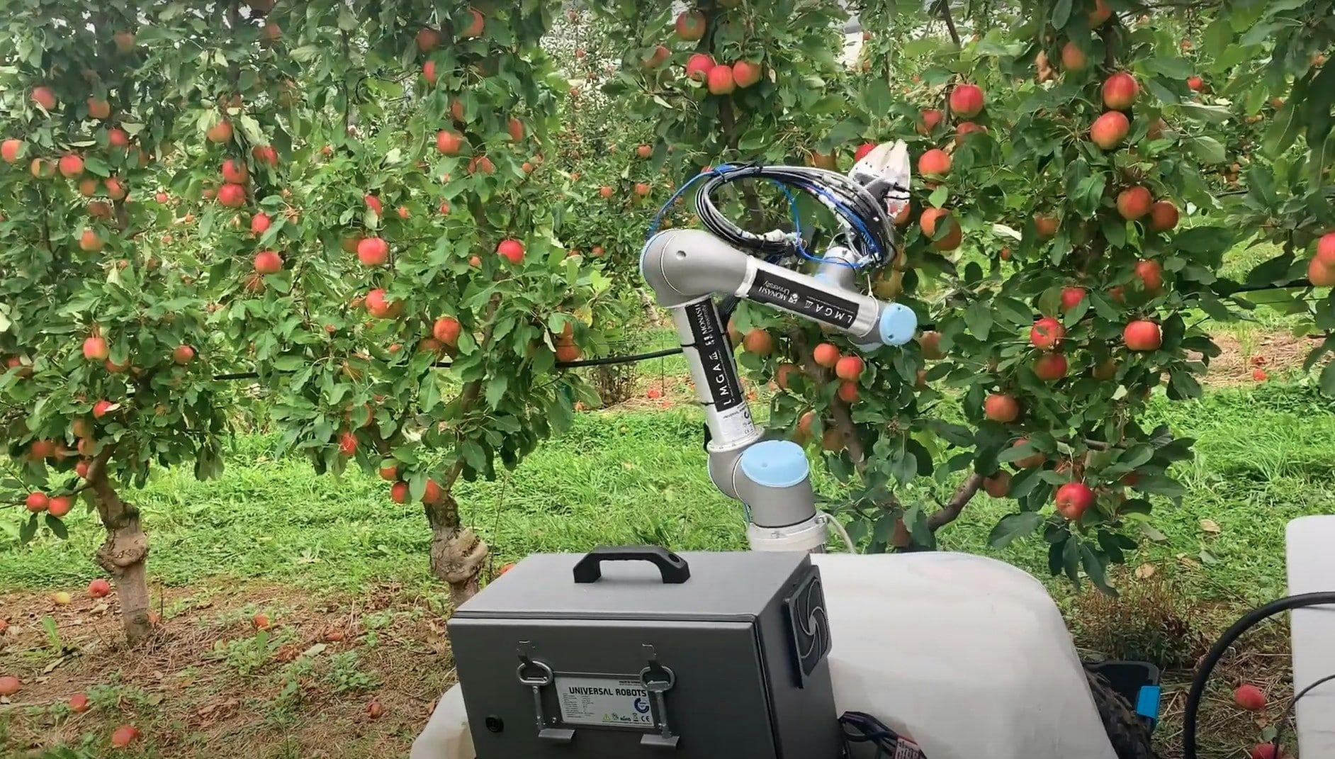 Elma hasatı yapan bir robot
