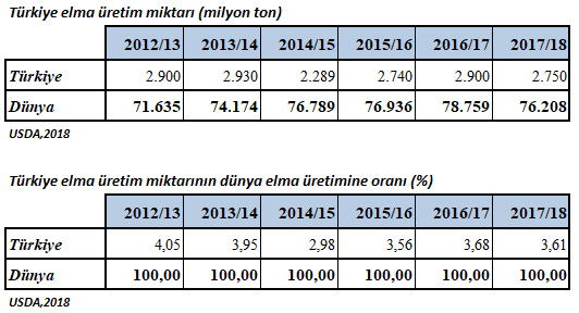 Türkiye'de elma üretim miktarları ve dünya üretimine oranı