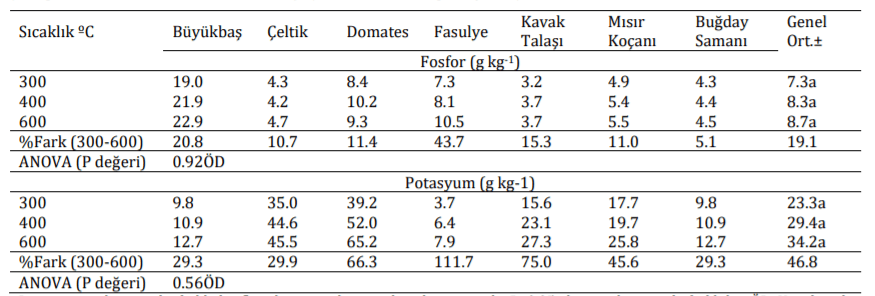 Farklı Sıcaklıklarda Üretilen Biyoçarların Fosfor ve Potasyum İçerikleri (1)