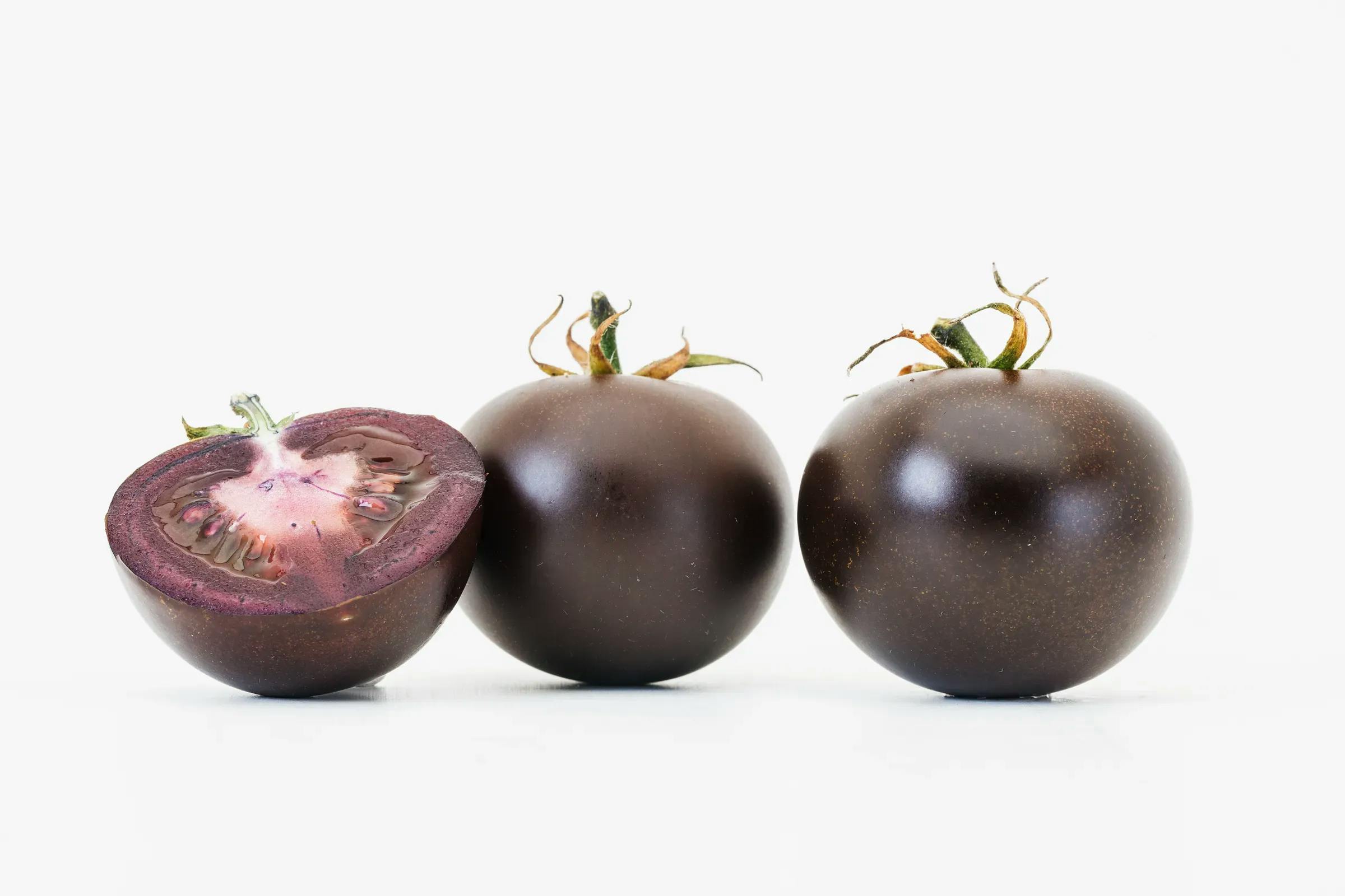 Jic Purple Tomato 4 Science Ds C6194 Min