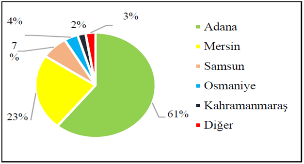 Türkiye'de soya üretim miktarının illere göre dağılımı (%)