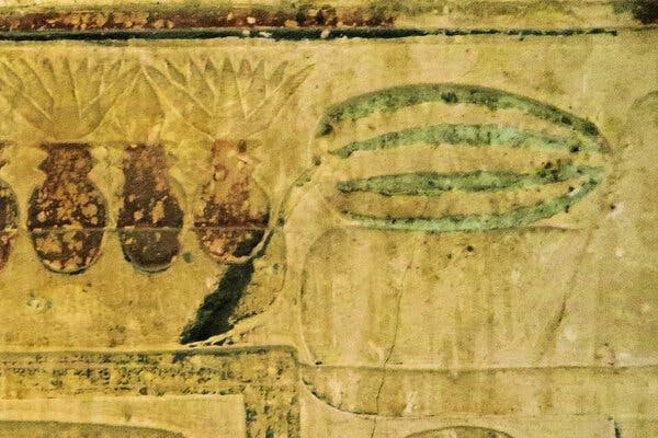Mısır'da keşfedilen karpuzun çizimi