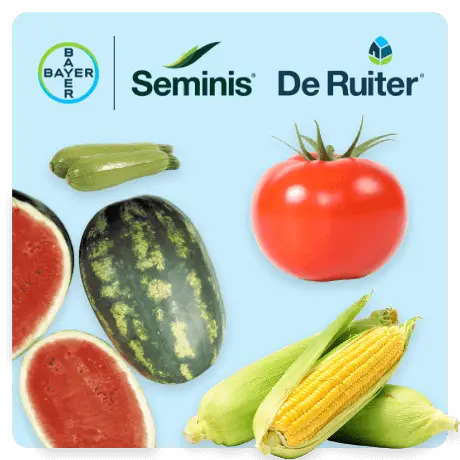 Seminis & De Ruiter